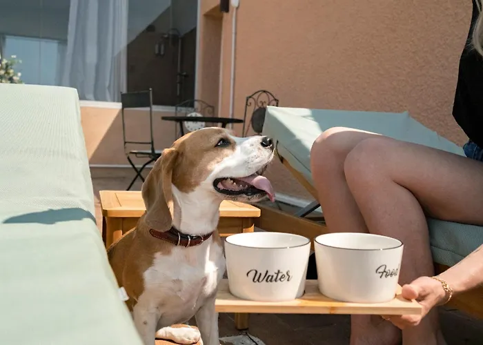 Surplage Cavaliere לה לבאנדו