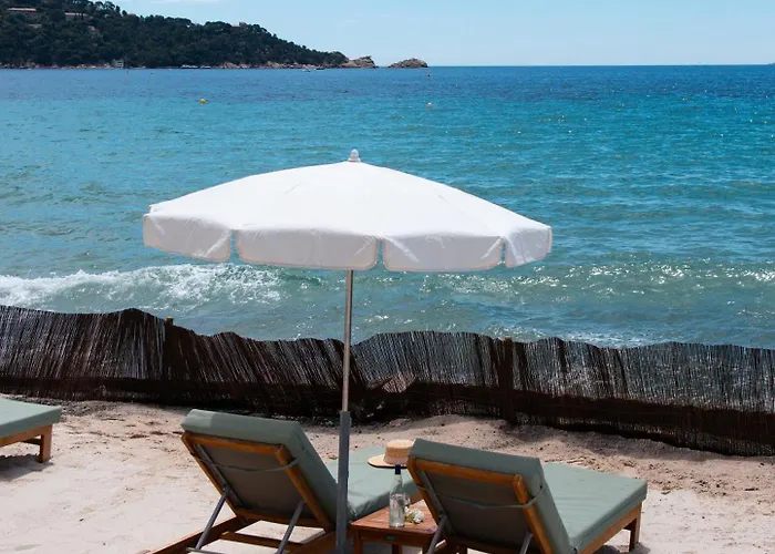 Surplage Cavaliere Le Lavandou